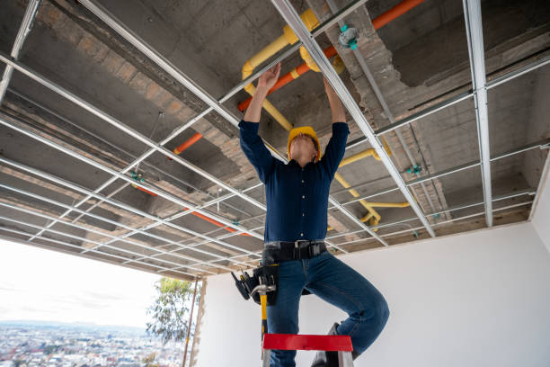 Best Clogged Drain Plumber  in Mascoutah, IL